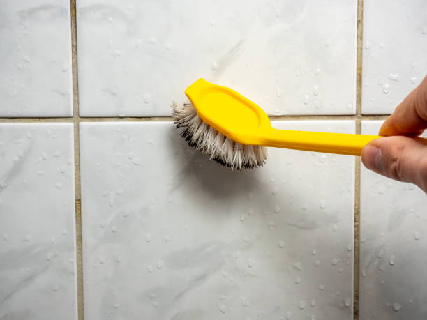 Best Fast Mold Removal  in Live Oak, FL