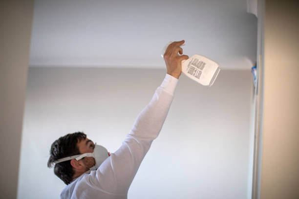 Best Mold Cleaning Services  in Live Oak, FL