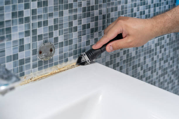 Best Mold Removal Company Near Me  in Live Oak, FL